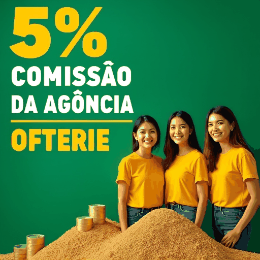 55bet